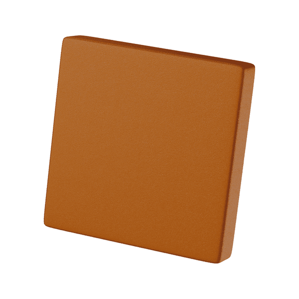 Rugkussen leren - Cognac - S3000´
